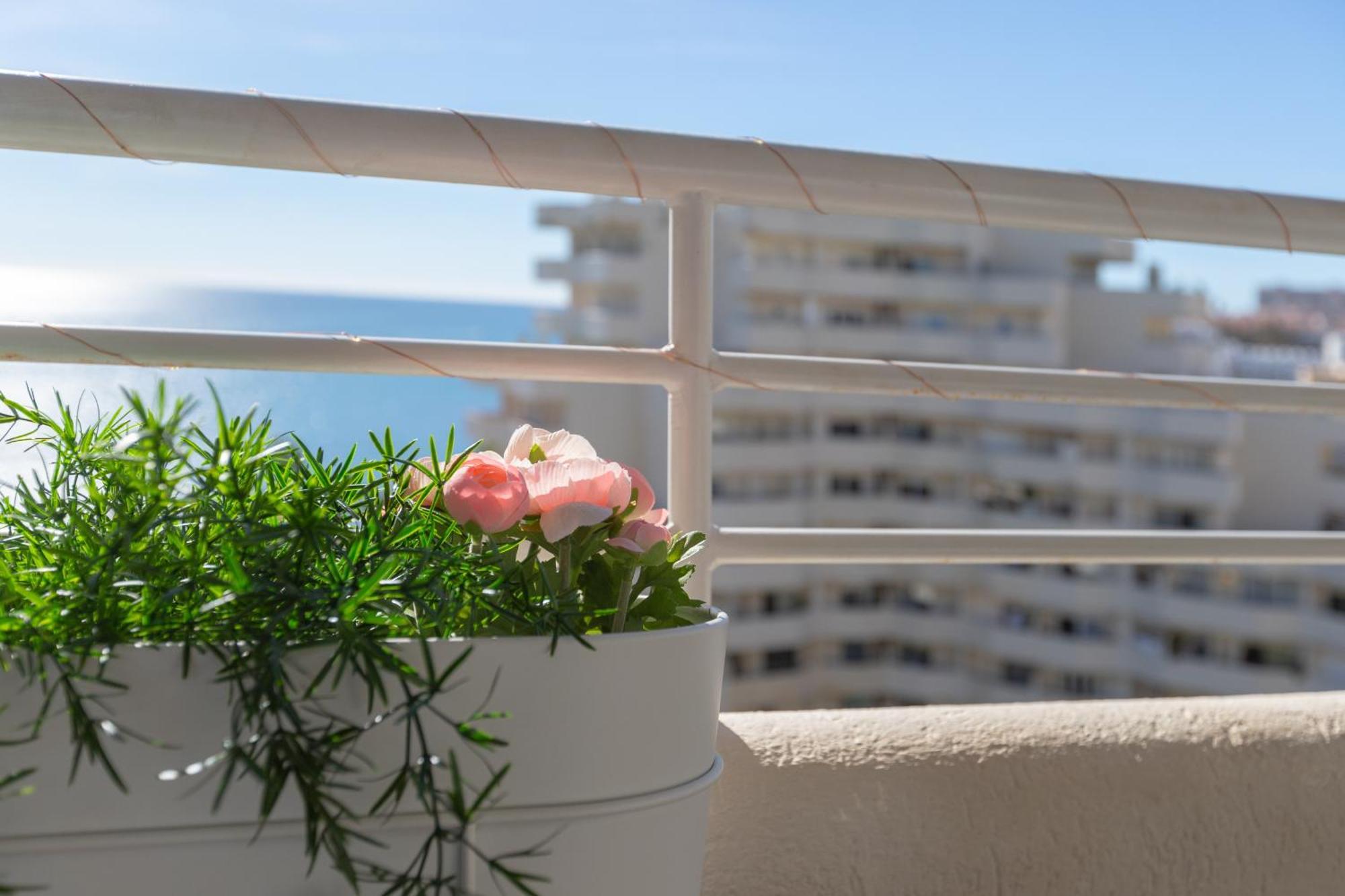 בנאלמדנה Apartamento Costa Del Sol מראה חיצוני תמונה